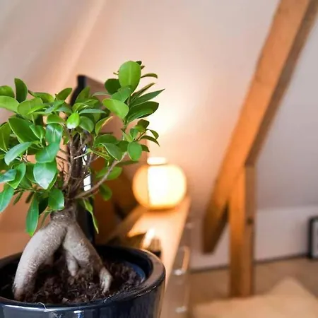 Adorable Petit Loft Clim Wifi Au Pied De La Cite *