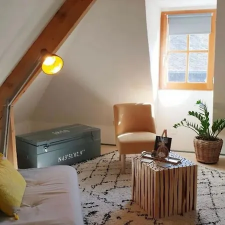 Adorable Petit Loft Clim Wifi Au Pied De La Cite Apartment