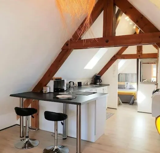 Appartamento Adorable Petit Loft Clim Wifi Au Pied De La Cité