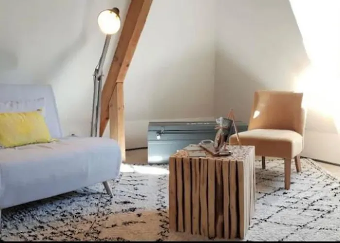 Appartamento Adorable Petit Loft Clim Wifi Au Pied De La Cité *
