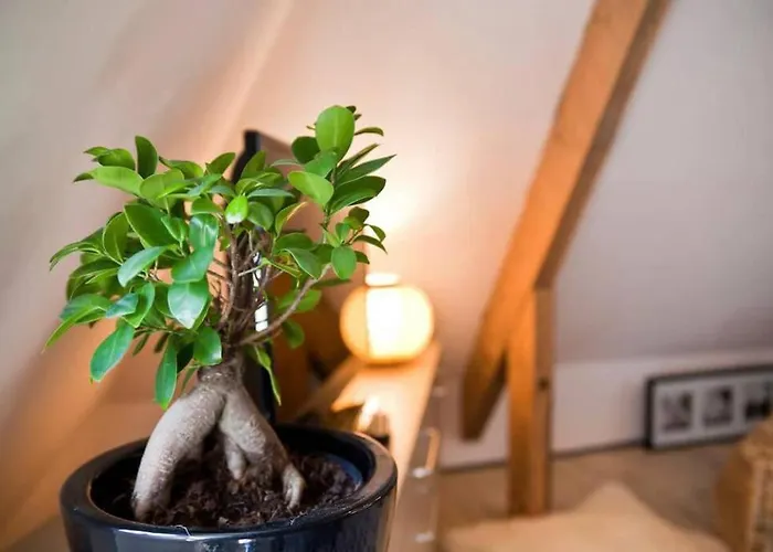 Adorable Petit Loft Clim Wifi Au Pied De La Cité *